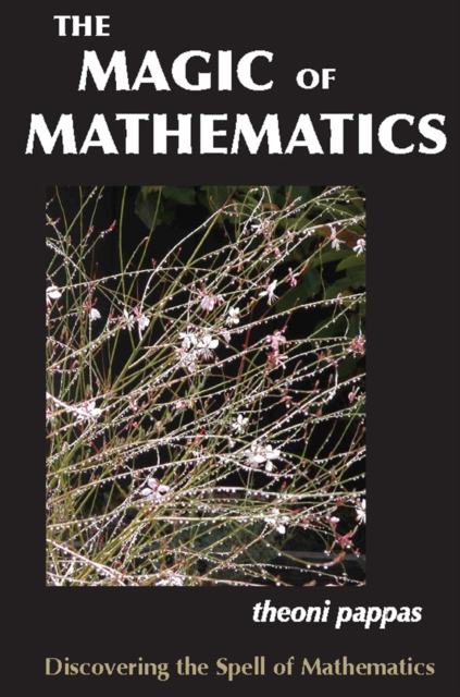 The Magic of Mathematics : Discovering the Spell of Mathematics, EPUB eBook