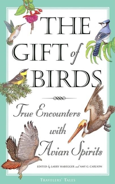 The Gift of Birds : True Encounters with Avian Spirits, Paperback / softback Book