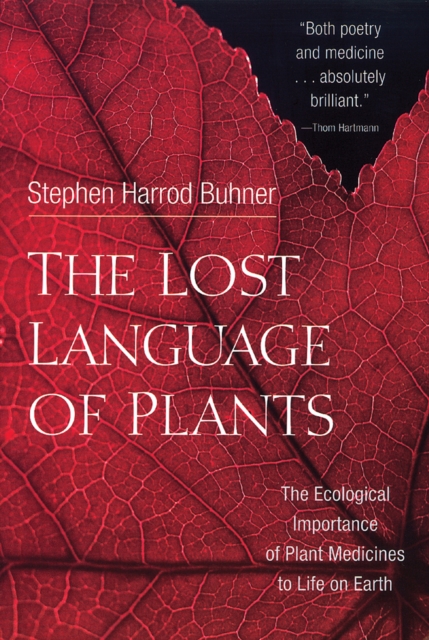 The Lost Language of Plants : The Ecological Importance of Plant Medicine to Life on Earth, Paperback / softback Book