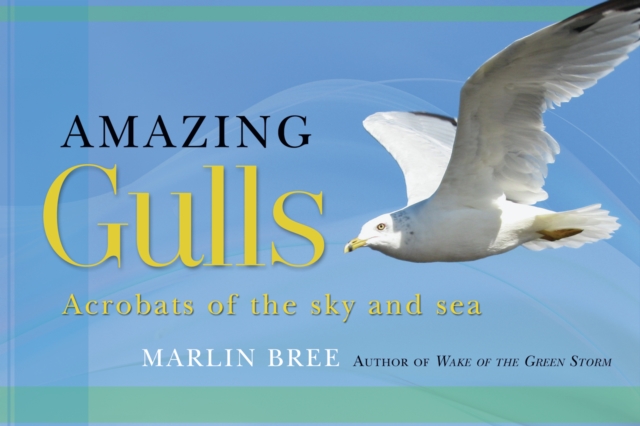 Amazing Gulls, PDF eBook