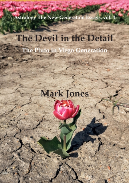 The Devil in the Detail, EPUB eBook