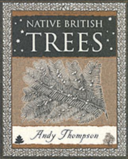 Native British Trees, Paperback / softback Book