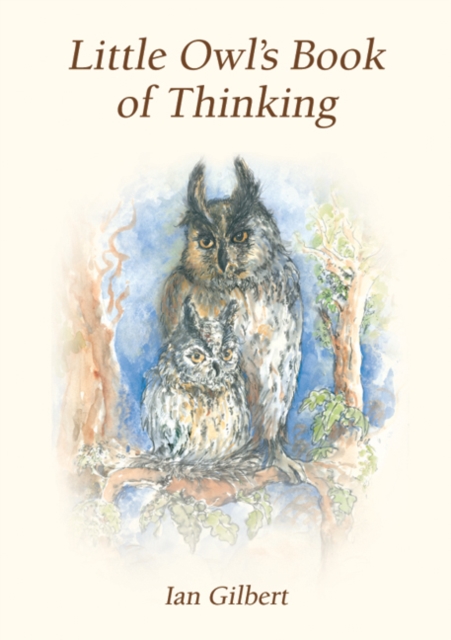 Little Owl's Book of Thinking : An Introduction to Thinking Skills, Hardback Book