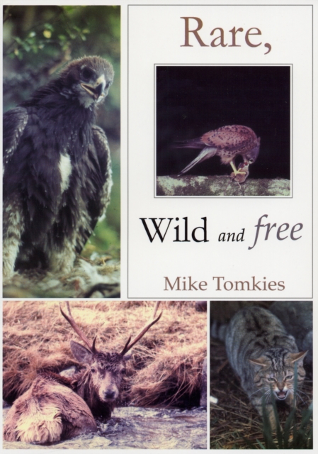 Rare, Wild and Free, Paperback / softback Book