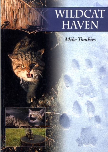 Wildcat Haven, Paperback / softback Book