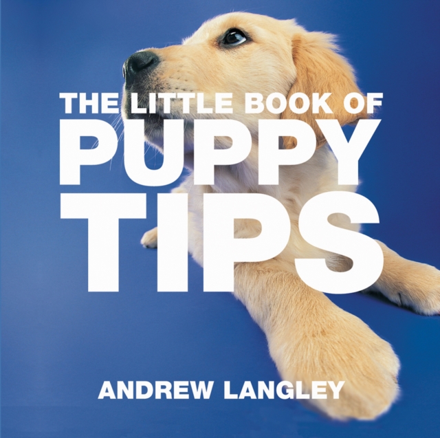 The Little Book of Puppy Tips, Paperback / softback Book