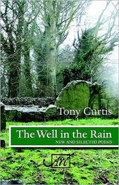 Well in the Rain : New and Selected Poems, Paperback / softback Book