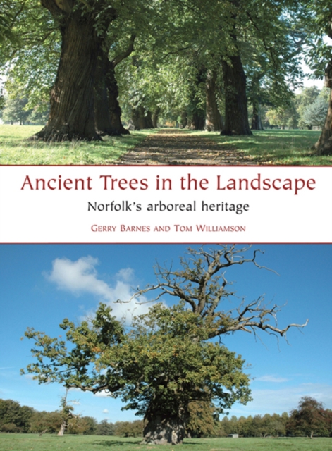 Ancient Trees in the Landscape : Norfolk's arboreal heritage, EPUB eBook