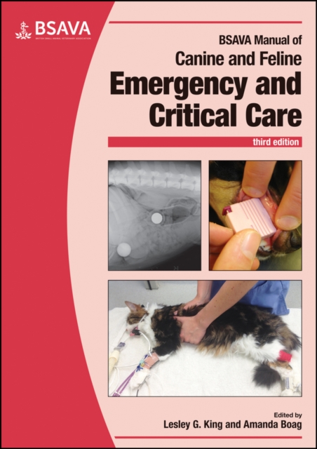 BSAVA Manual of Canine and Feline Emergency and Critical Care, Paperback / softback Book