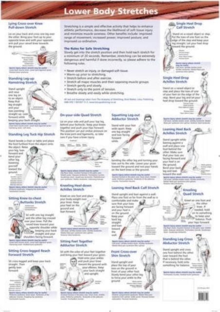 Lower Body Stretches, Wallchart Book