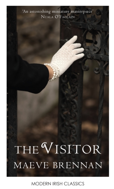 The Visitor, Paperback / softback Book