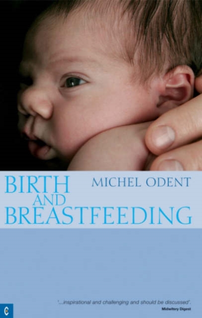 Birth and Breastfeeding : Rediscovering the Needs of Women During Pregnancy and Childbirth, Paperback / softback Book