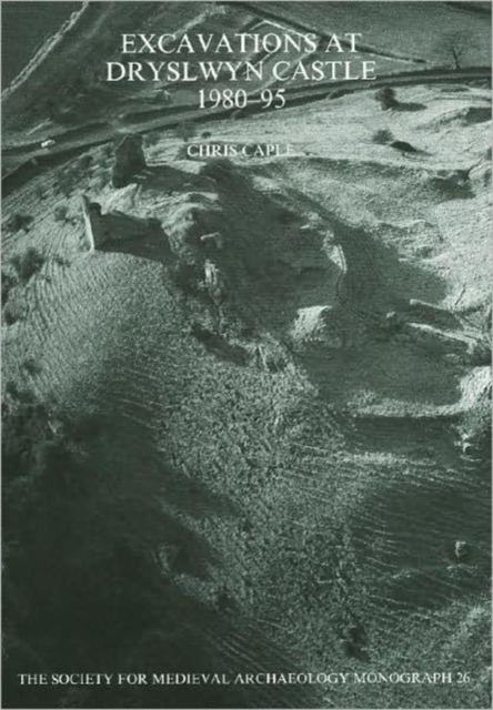 Excavations at Dryslwyn Castle 1980-1995, Paperback / softback Book
