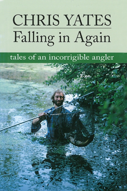 Falling in Again, EPUB eBook
