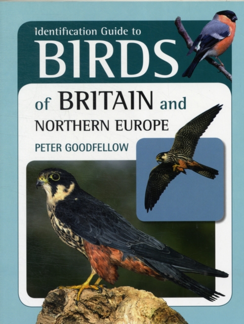 Identification Guide to Birds of Britain and Northern Europe, Paperback Book