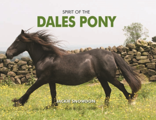 Spirit of the Dales Pony, Hardback Book