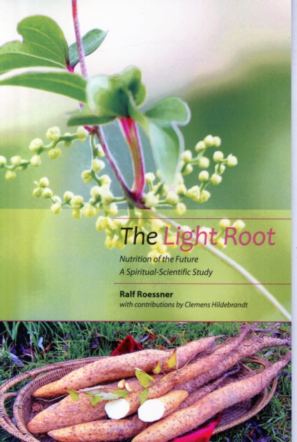 The Light Root : Nutrition of the Future, a Spiritual-Scientific Study, Paperback / softback Book