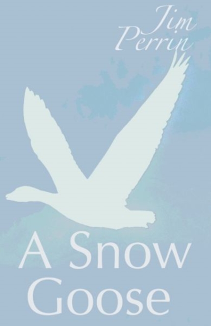 Snow Goose, A, Paperback / softback Book