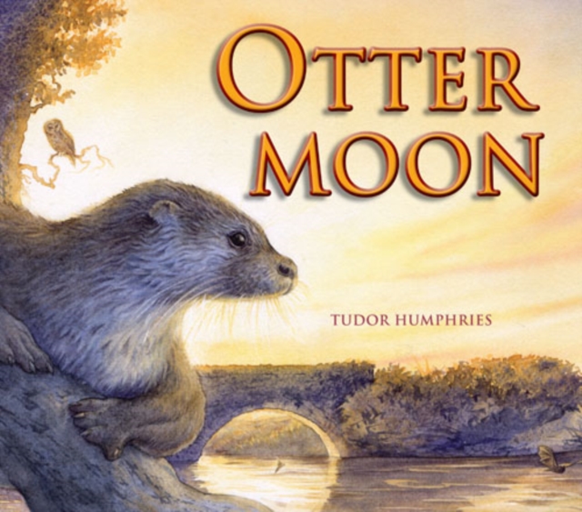 Otter Moon, Paperback / softback Book