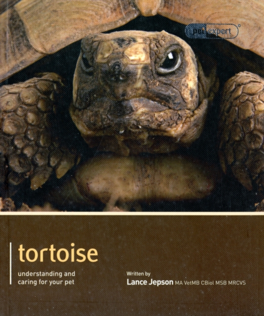 Tortoise - Pet Expert : Understanding and Caring for Your Pet, Paperback / softback Book
