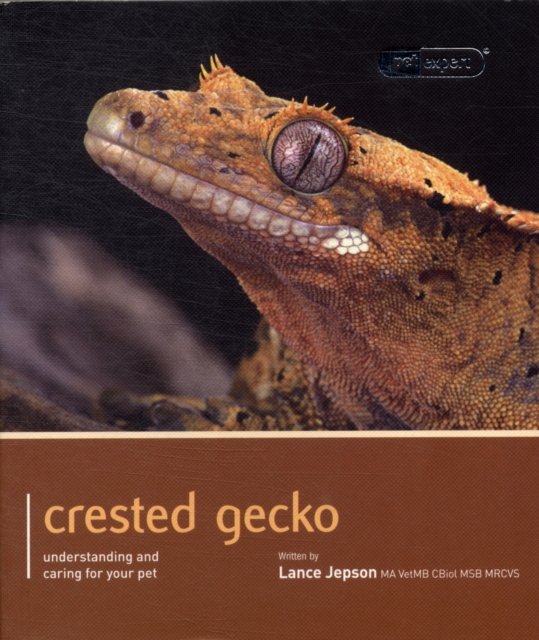 Crested Gecko - Pet Expert : Understanding and Caring for Your Pet, Paperback / softback Book