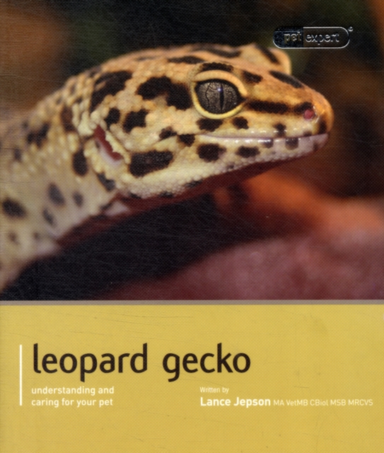 Leopard Gecko - Pet Expert : Understanding and Caring for Your Pet, Paperback / softback Book