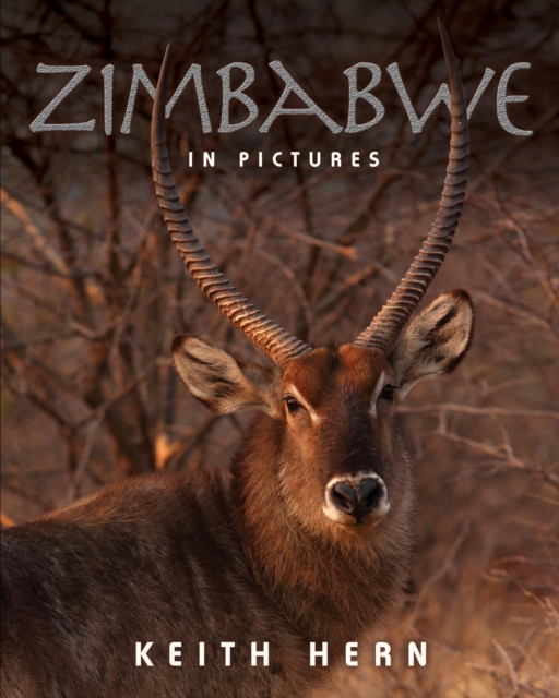Zimbabwe In Pictures, EPUB eBook