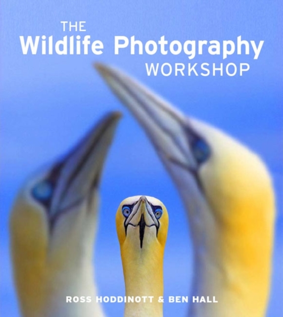 Wildlife Photography Workshop, The, Paperback / softback Book