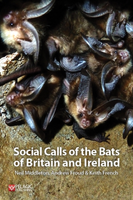 Social Calls of the Bats of Britain and Ireland, Paperback / softback Book