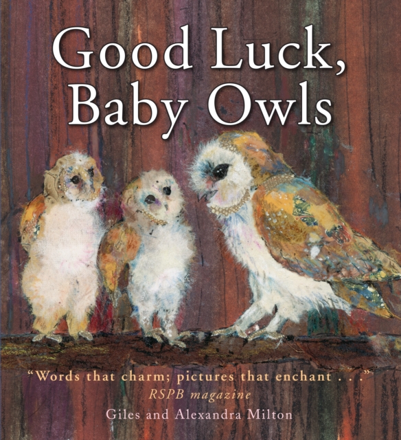 Good Luck, Baby Owls, Paperback / softback Book