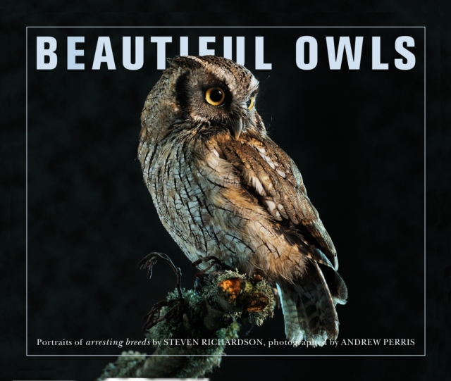 Beautiful Owls : Portraits of Arresting Species from Around the World, Paperback Book
