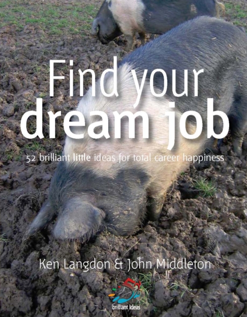 Find your dream job, EPUB eBook