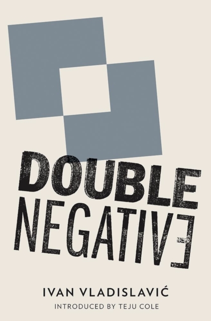 Double Negative, Paperback / softback Book