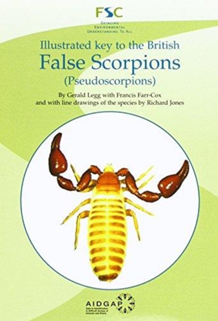Illustrated Key to the British False Scorpions : (Pseudoscorpions), Paperback / softback Book