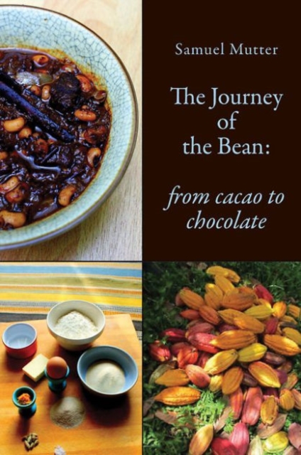 The Journey of the Bean : From Cacao to Chocolate, Paperback / softback Book