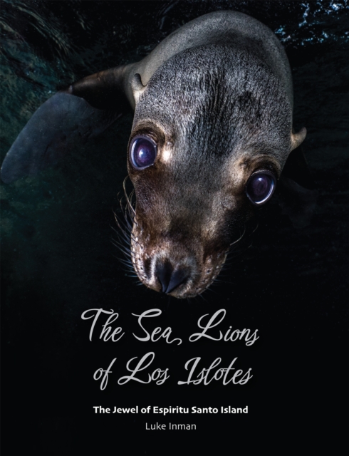 The Sea Lions of Los Islotes : The Jewel of Espiritu Santo Island, Paperback / softback Book