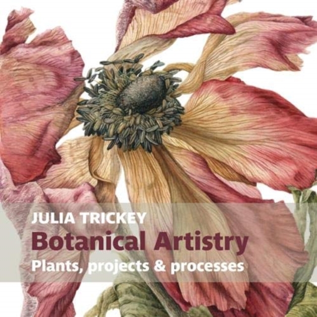 Botanical artistry : Plants, projects and processes, Paperback / softback Book