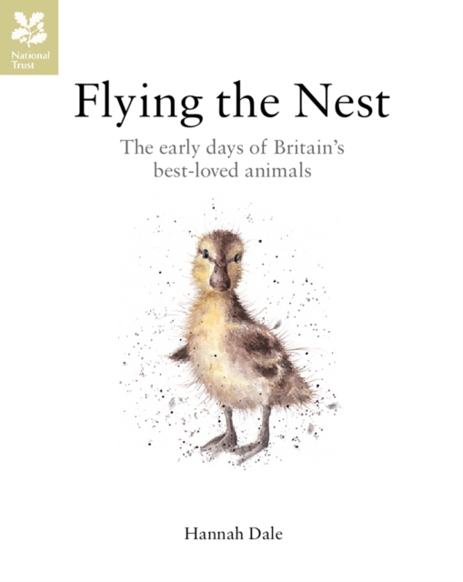 Flying the Nest : The early days of Britain’s best-loved animals, Hardback Book
