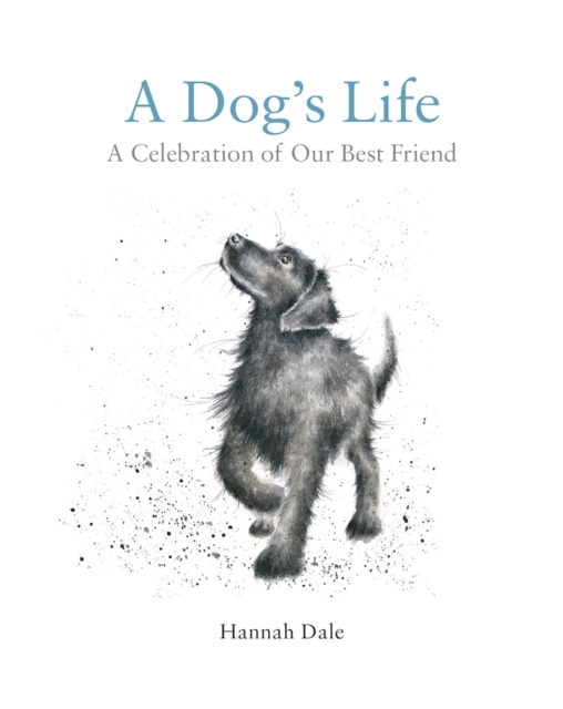 A Dog's Life : A Celebration of Our Best Friend, Hardback Book