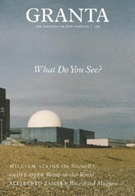Granta 159: What Do You See?, Paperback / softback Book