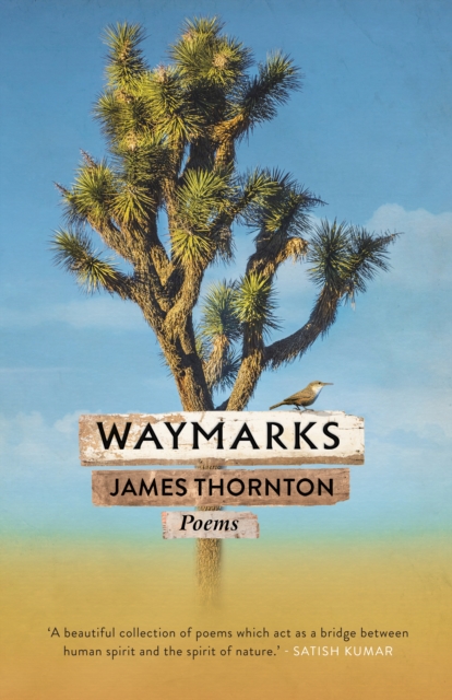 Waymarks, Paperback / softback Book