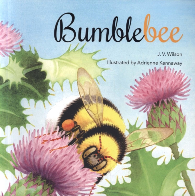 Bumblebee, Paperback / softback Book