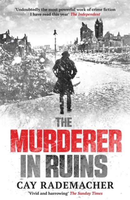 The Murderer in Ruins, Paperback / softback Book