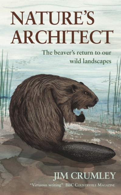 Nature'S Architect, Paperback / softback Book