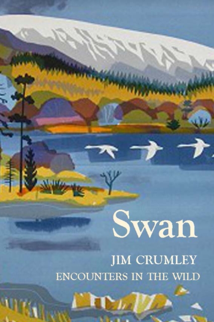 Swan, Hardback Book