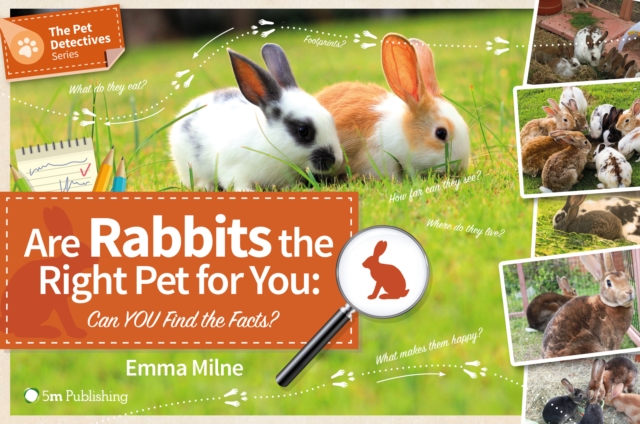 Are Rabbits the Right Pet for You: Can You Find the Facts?, Paperback / softback Book