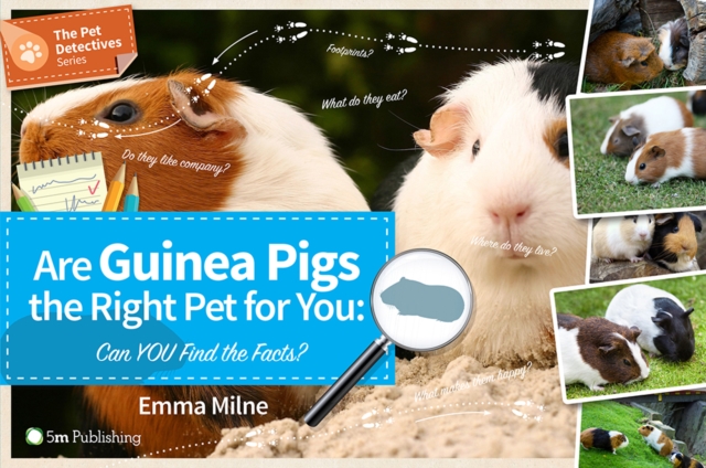 Are Guinea Pigs the Right Pet for You: Can You Find the Facts?, Paperback / softback Book