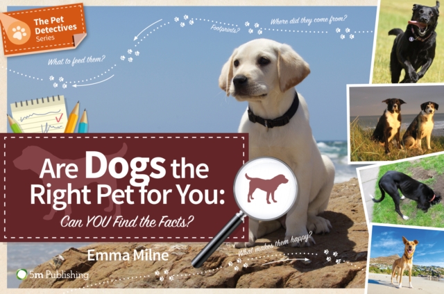 Are Dogs the Right Pet for You: Can You Find Out, Paperback / softback Book