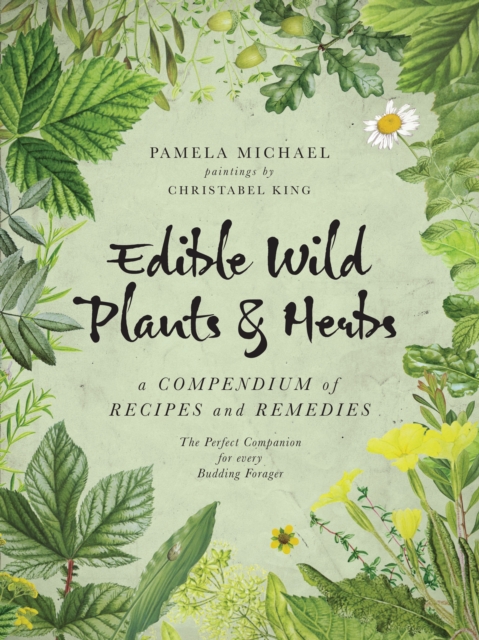 Edible Wild Plants & Herbs : A Compendium of Recipes and Remedies, EPUB eBook