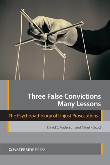 Three False Convictions, Many Lessons, EPUB eBook